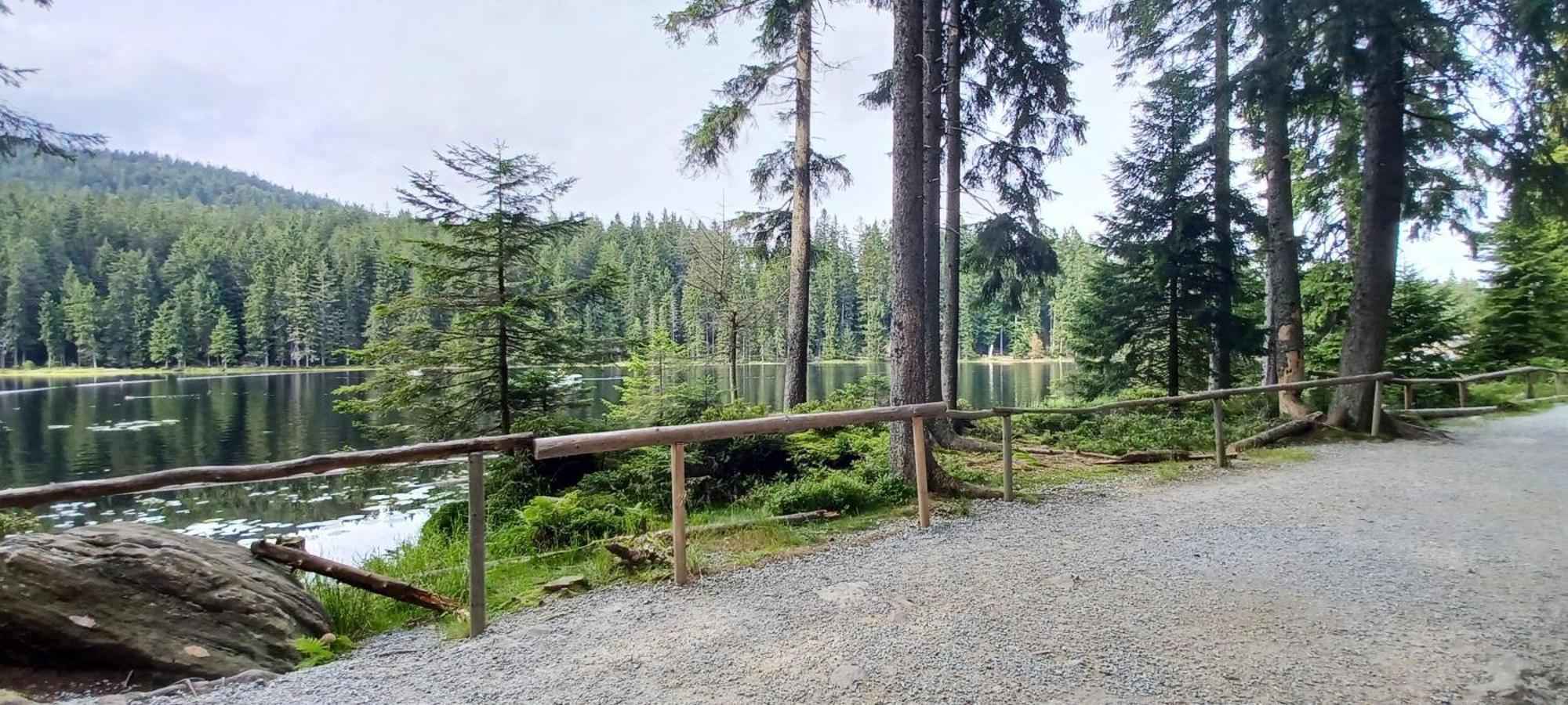 Fewo-Harlachberg-Blick-1 Bodenmais Eksteriør bilde